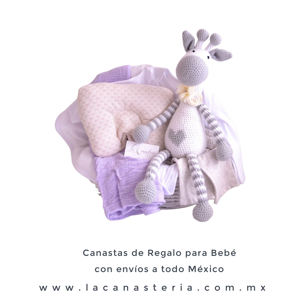 Canasta de regalo para bebé niña entrega domicilio mexico