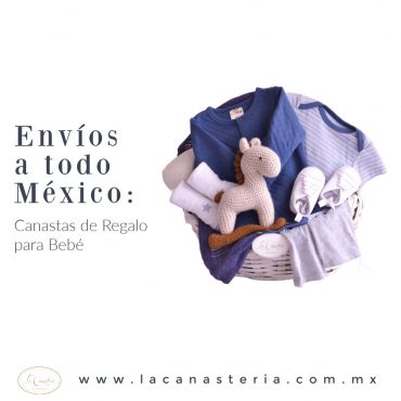 Canastas de Regalo para Bebés Cdmx Puebla Queretaro Df Monterrey Guadalajra